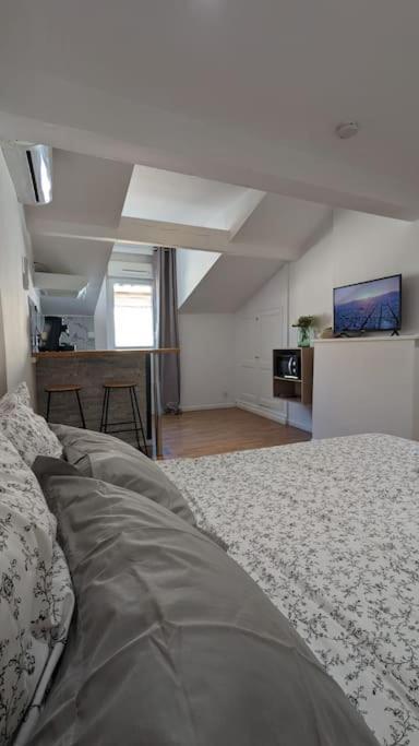 2E Grand Studio Agen Hyper Centre - Clim - Jacobins Luaran gambar
